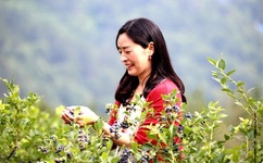 老外美女日系裸妆视频